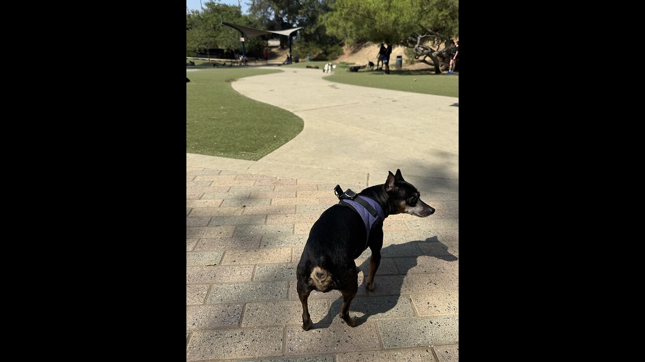 Ridin around w this girl