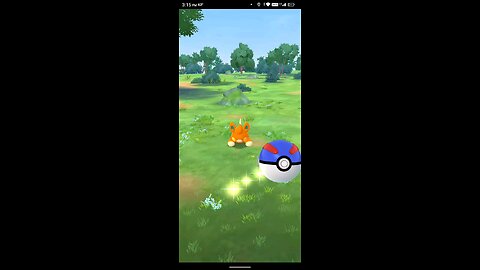 playing Pokemon go during the pawmi community day