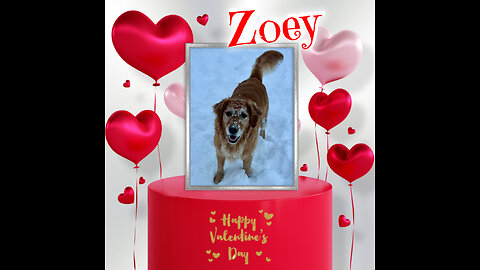 Golden Retrievers: Hearts of Gold - Valentine's Day 2026