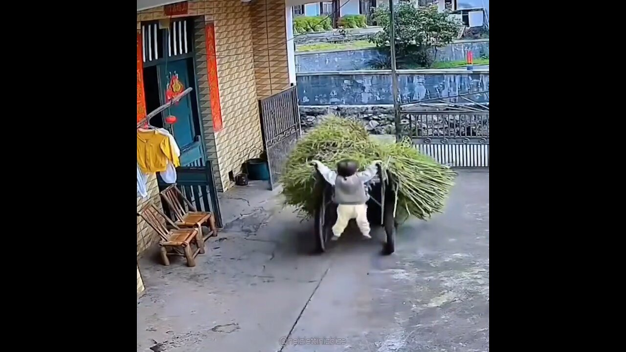 Un niño pequeño con la fuerza para levantar una carretilla