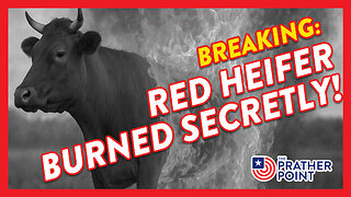 BREAKING: RED HEIFER BURNED SECRETLY!
