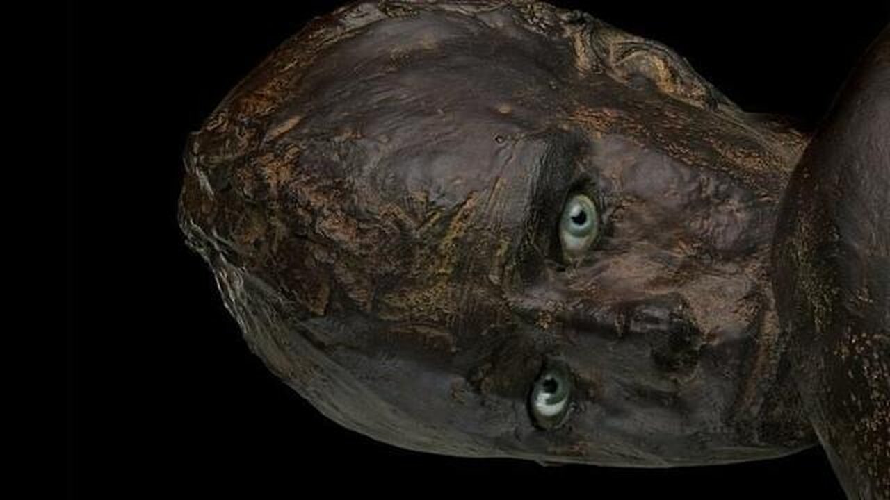 THEY HAVE BEEN HERE ALL ALONG BUT WE CAN SEE THEM NOW (2025) - KJOzborne