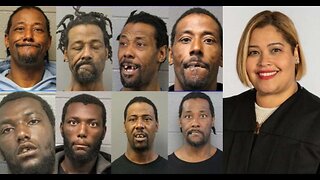 Meet The DEI Judge Who Set The Chicago Subway Arsonist Free
