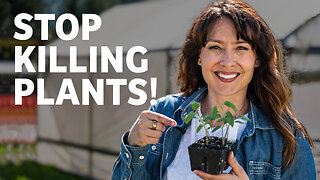 5 Mistakes People Make When Growing Seedlings