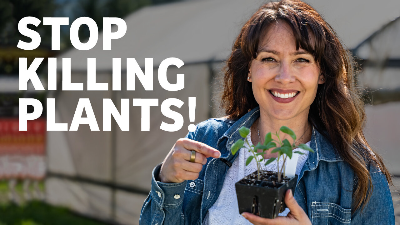5 Mistakes People Make When Growing Seedlings