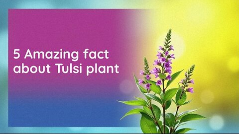"unknown nature's secrets"! Explore 5 miraculous facts about Tulsi plant that mind blowing "🌿✨💐