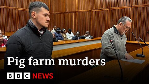 South African farmer on trial accused of feeding women to pigs | BBC News