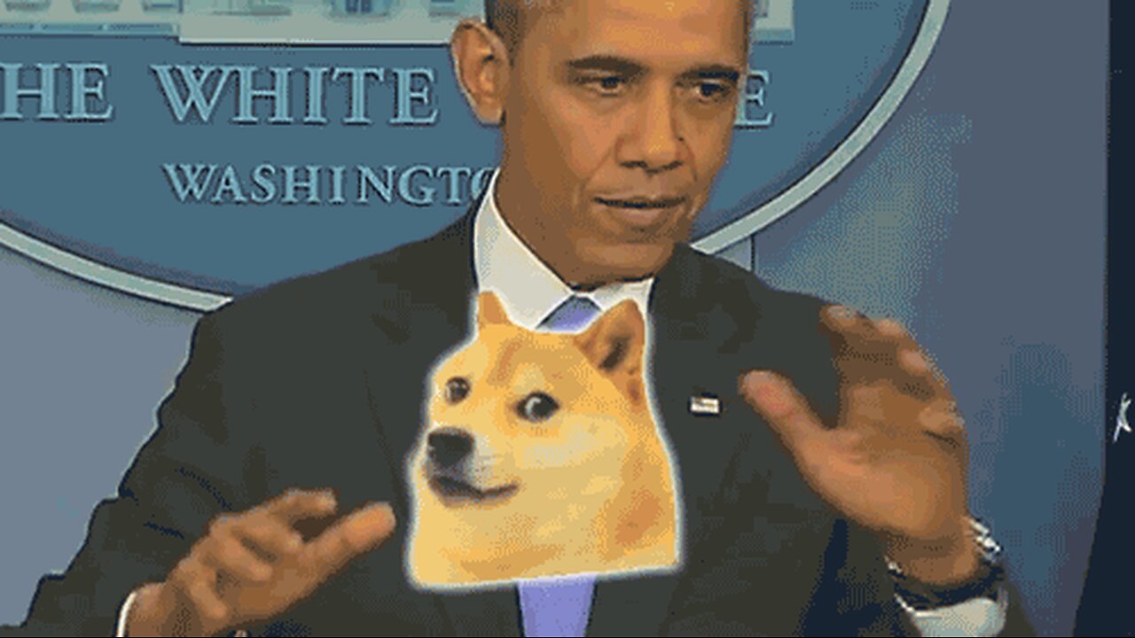 Obama Explains DOGE For Dummies*Patsy Hoolahan*