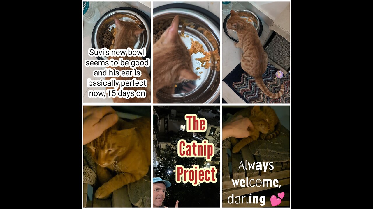 Suvi update - 15 days on