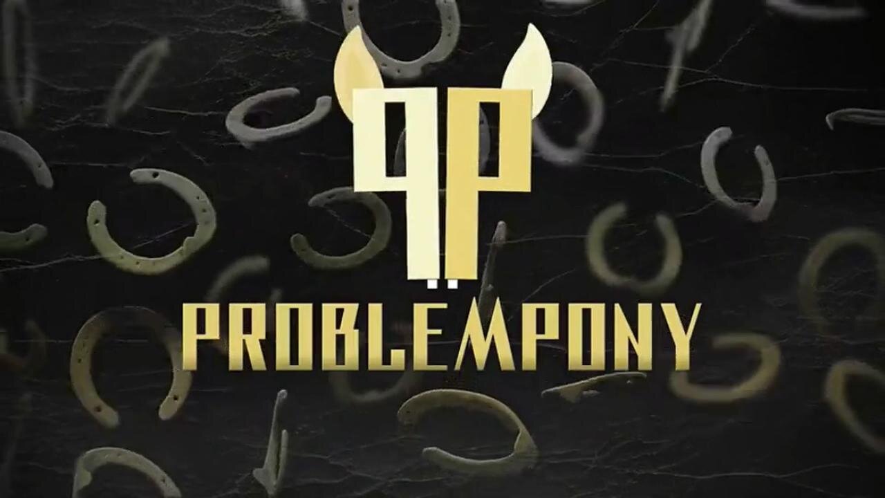 Dagmar Henn im Interview