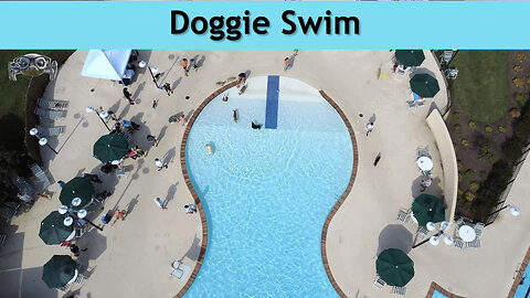 Doggie Swim - 9/20&21/25