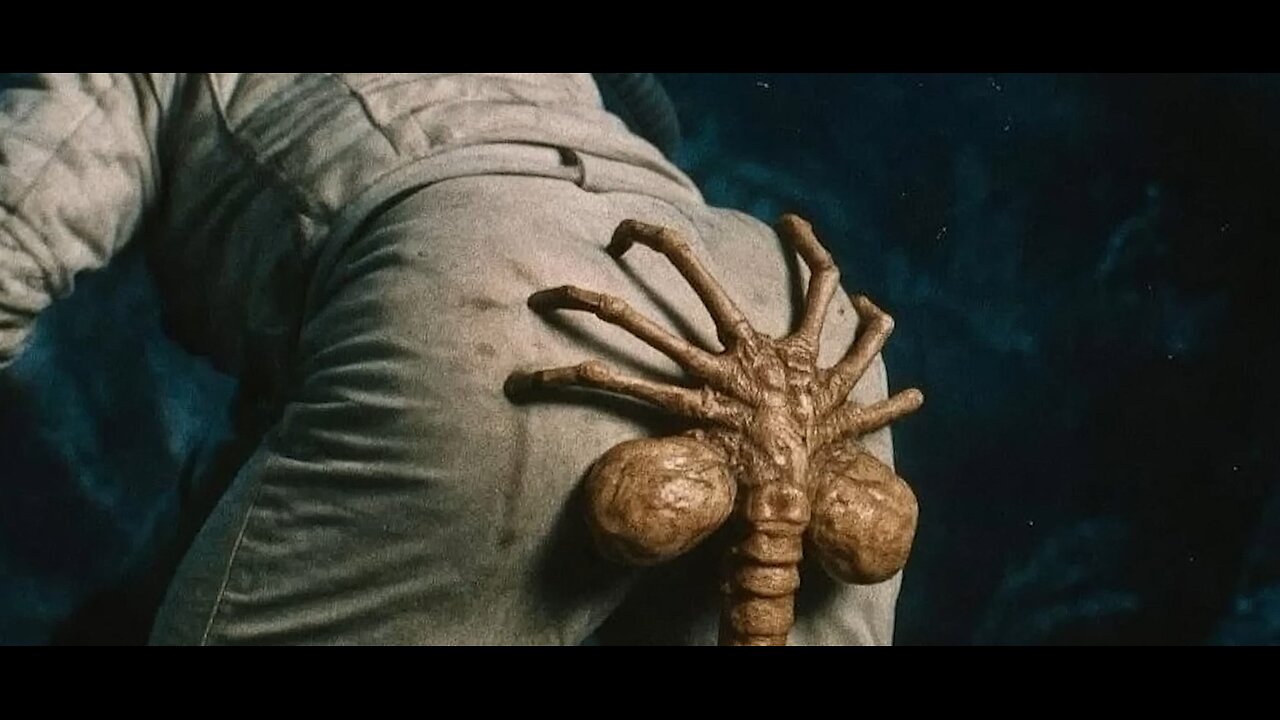 Battlefield 6 portal and redsex chiil sesh