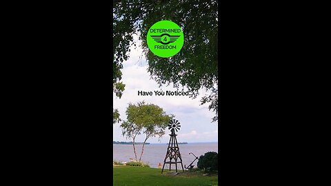 Have You Noticed...