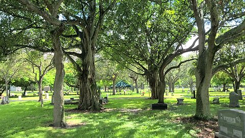 Have you SEEN actor Leslie Nielsen grave in Fort Lauderdale? Check THIS out! #follow #lasvegas #fyp