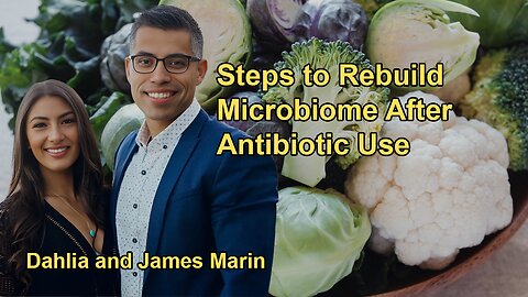 Methods to Recover Microbiome Post-Antibiotics, Highlighting the Role