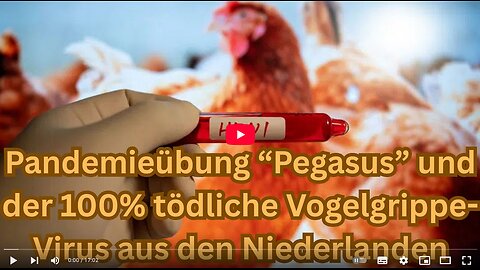 Pandemieübung "Pegasus" und ein 100% tödliches Vogelgrippe-Virus made in the Nederlands 🐔🐦‍
