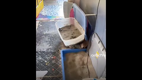 Landlord shows “Day 1 of an eviction clean out” tenants were all LGBTQ