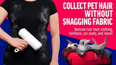 ChomChom Roller Review 🐾 | Best Pet Hair Remover for Couch, Carpet & Clothes!