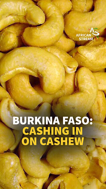 BURKINA FASO: CASHING IN ON CASHEW