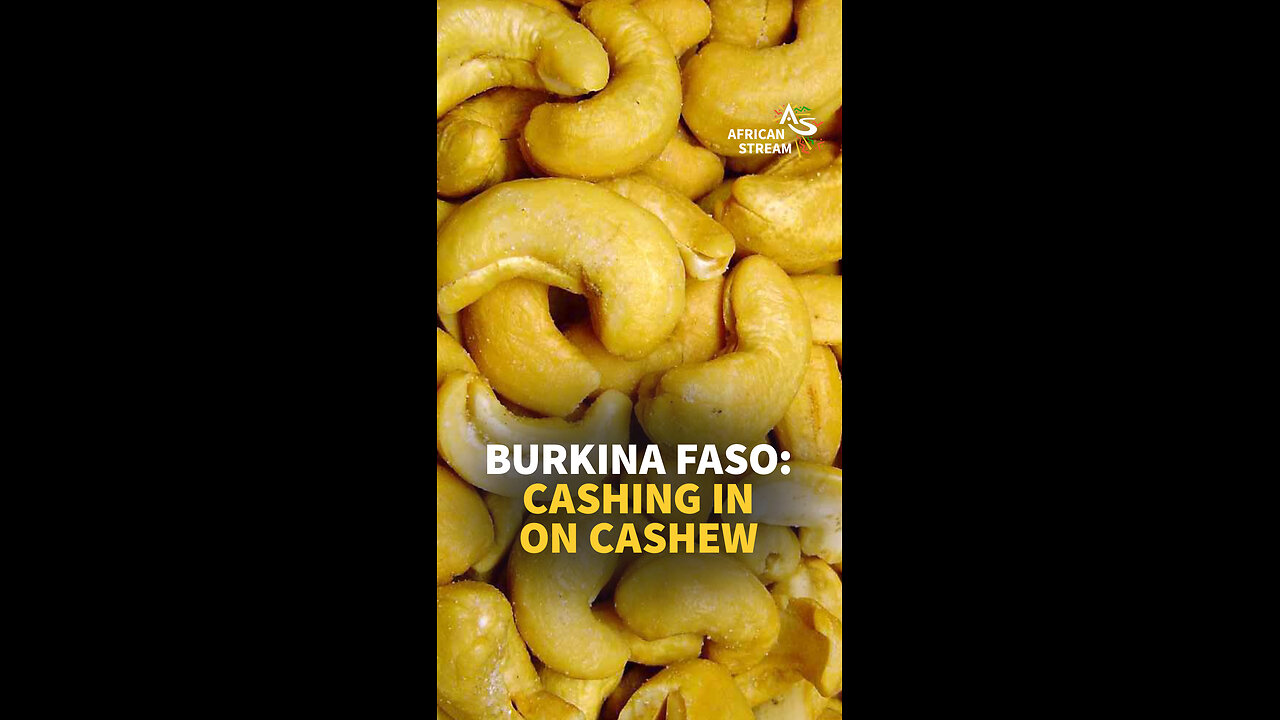 BURKINA FASO: CASHING IN ON CASHEW