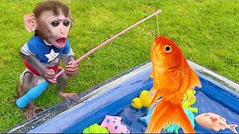 Baby Monkey Chu Chu go fishing and eat fruit with puppies in the garden