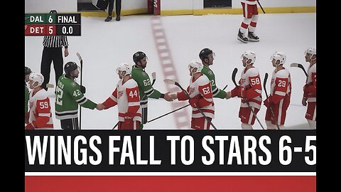 Red Wings Report - Red Wings fall to Stars 6-5