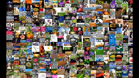 Recover photos with RecoveryFox AI