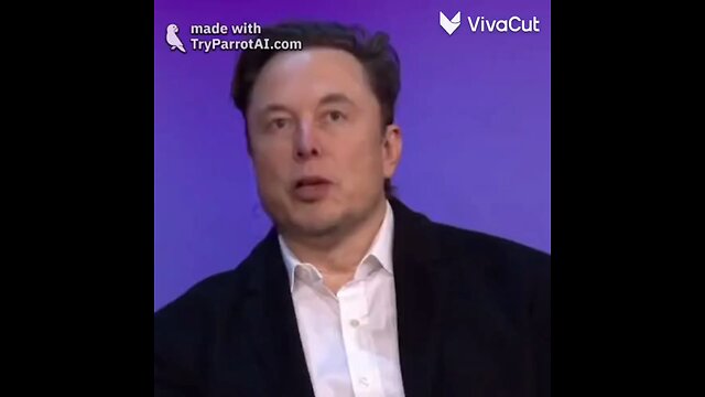 Elon Musk, You will go to jail!