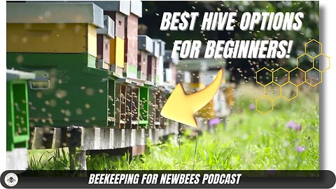 Beehive Hardware 101: Essential Options for Beginner Beekeepers 🐝