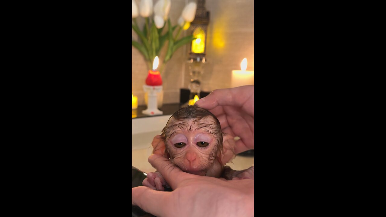 Kiki really knows how to enjoy bath time😊😊🐒