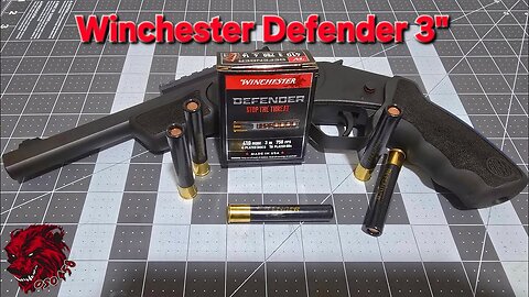 410 POWERHOUSE?! This Winchester Defender Packs a SERIOUS Punch!💥