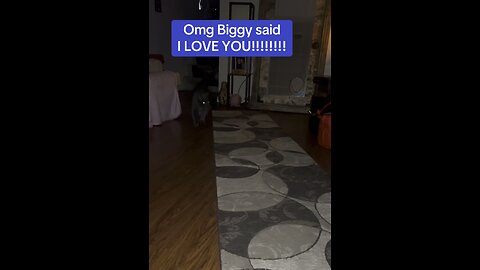 Omg my cat said “I LOVE YOU!!!”