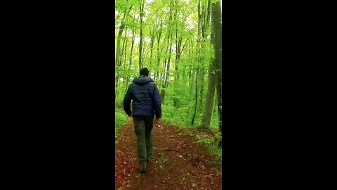 Travelling to the world