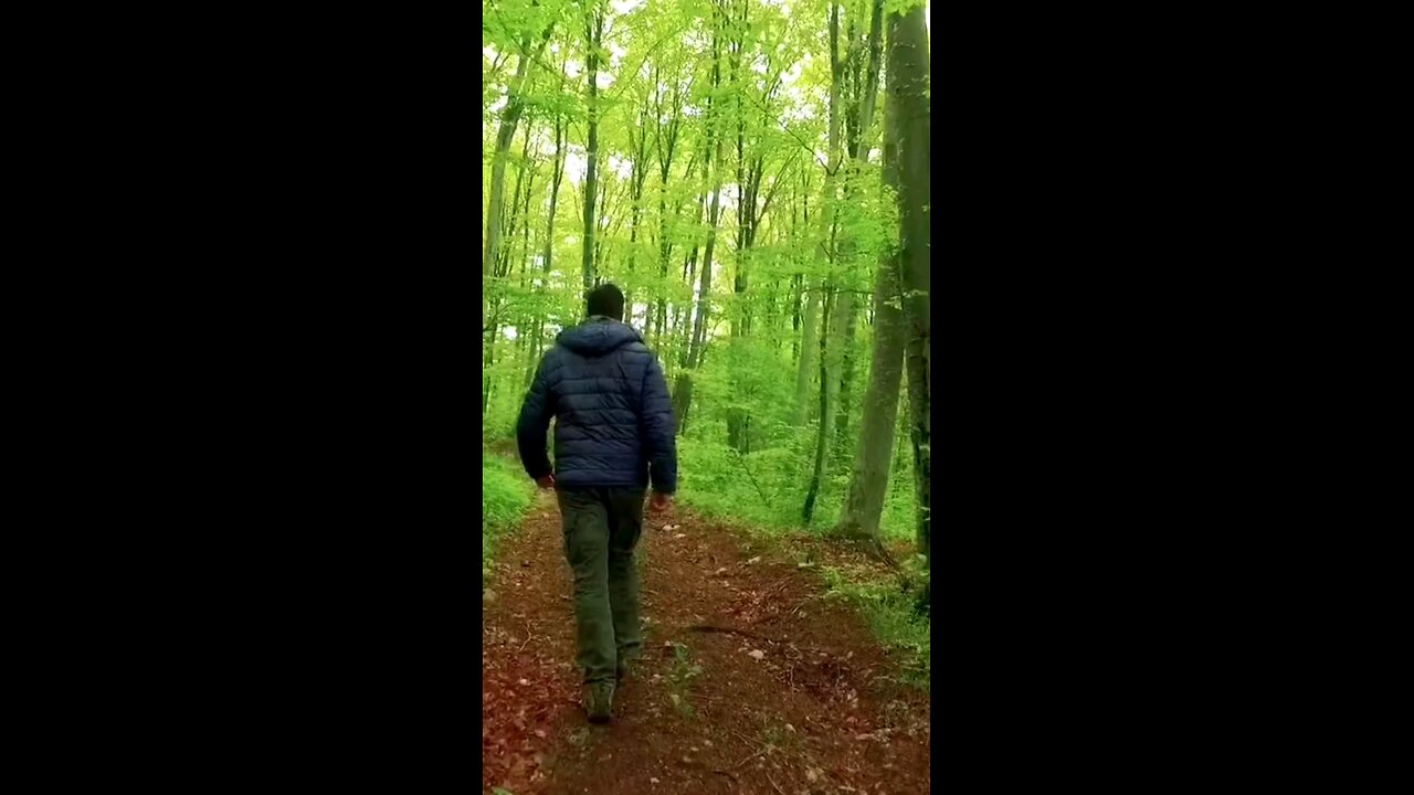 Travelling to the world