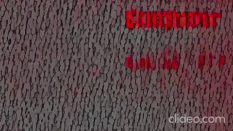 cats funny animate 4.mp4