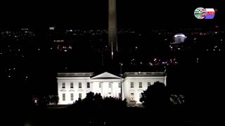 TWO CATS U.S. POLITICAL NEWS