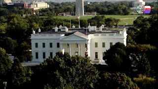 TWO CATS U.S. POLITICAL NEWS