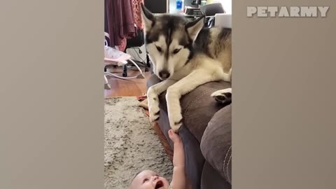 Unbreakable Bond: You'll Fall in Love with This Baby & His Dog Best Friend!