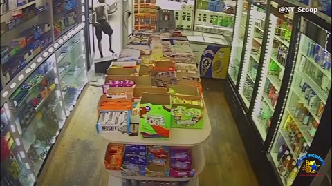 Man Smashes Headfirst Through Crown Heights Deli Door in Bizarre Rampage