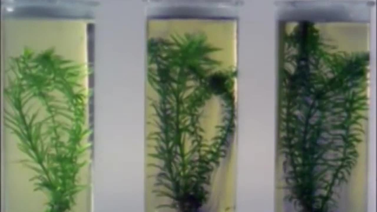 Nachhilfe-Unterricht CO2 😋