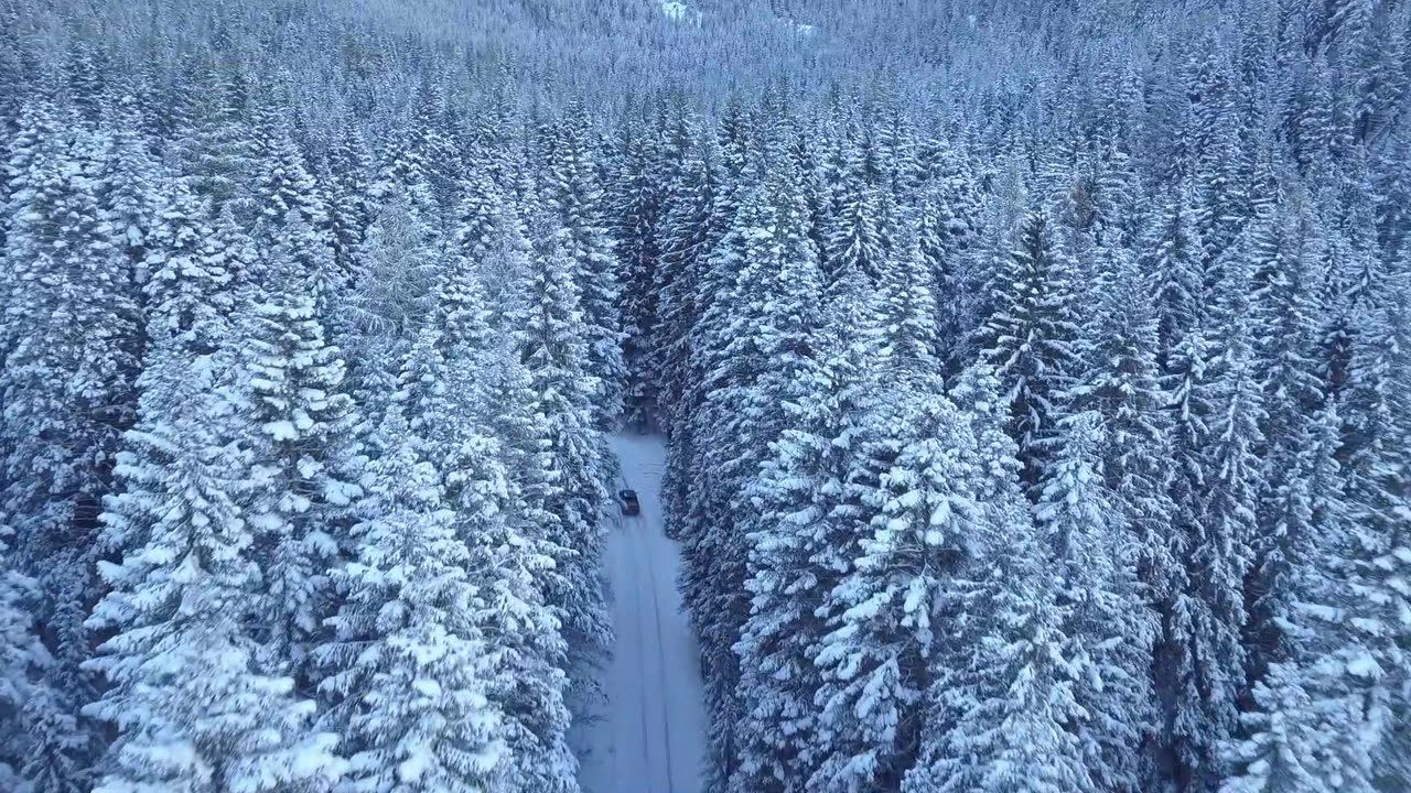 2-Minute Serene Snowy Mountains Journey | Calming Nature Sounds & Scenery | Mindful Haven