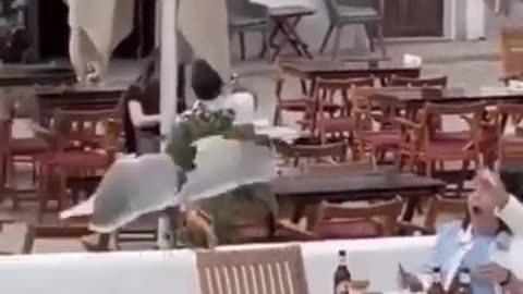 Do not watch this video!