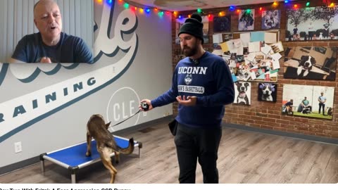 Miracle K9 - Going "Bonkers" with Balanced Dog Training - Pt 2