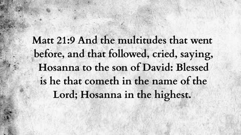 Martus Ministry -339- Donkey prophesy