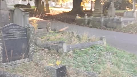 The Dog toilet covered in frost