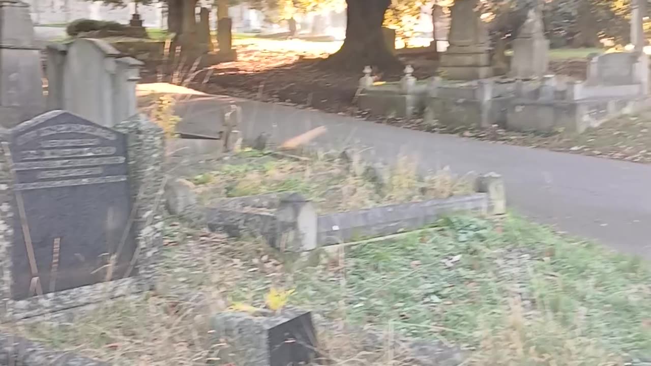 The Dog toilet covered in frost