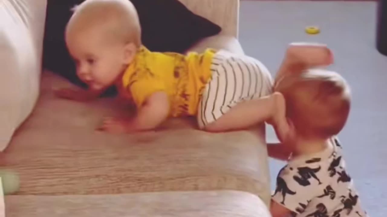 Brother, you stay here, I'll climb up....😅🤣🤣🤣