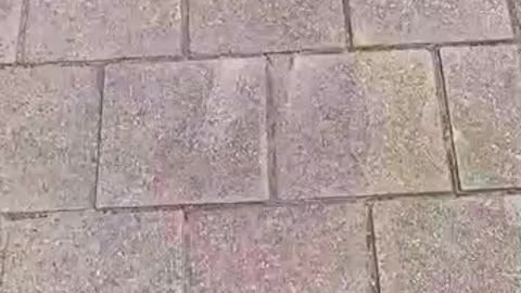 Mislukte vuilnisboa Karim op bezoek bij de vrijmetselaars!
