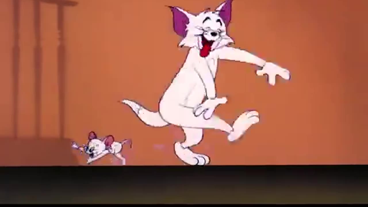 Tom and Jerry cartoon