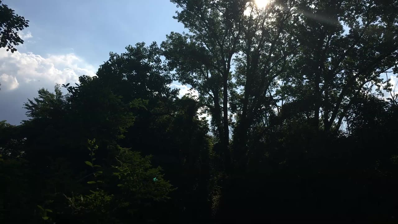Another Sunrise